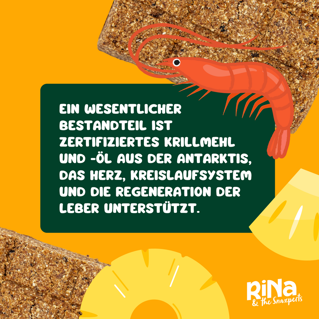 RiNa`s Magic Trio - Funktionale Hundesnacks - 3in1 Probierpaket 900g