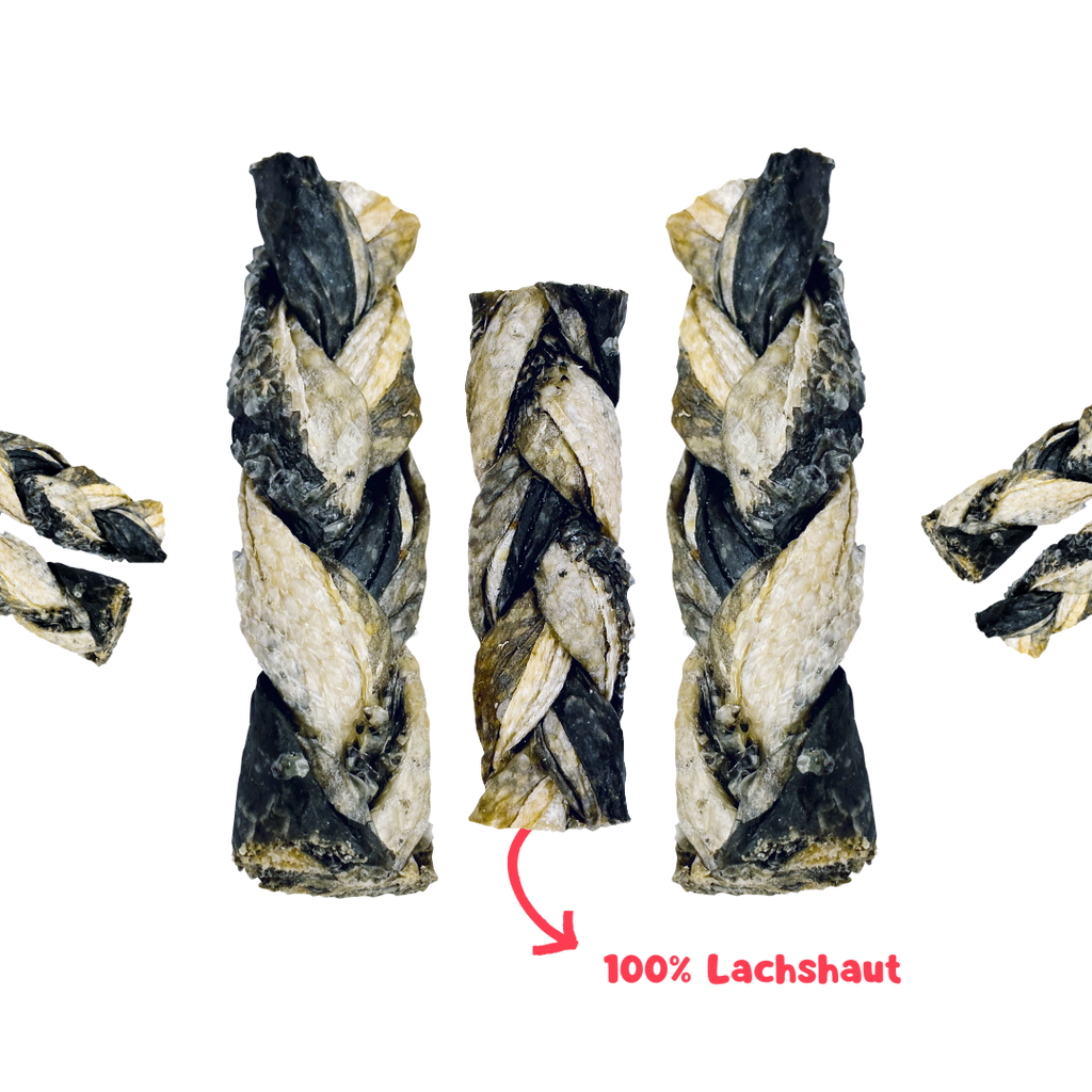 RiNa`s Lachs-Zöpfe für Hunde - Natürlicher Fischsnack 140g