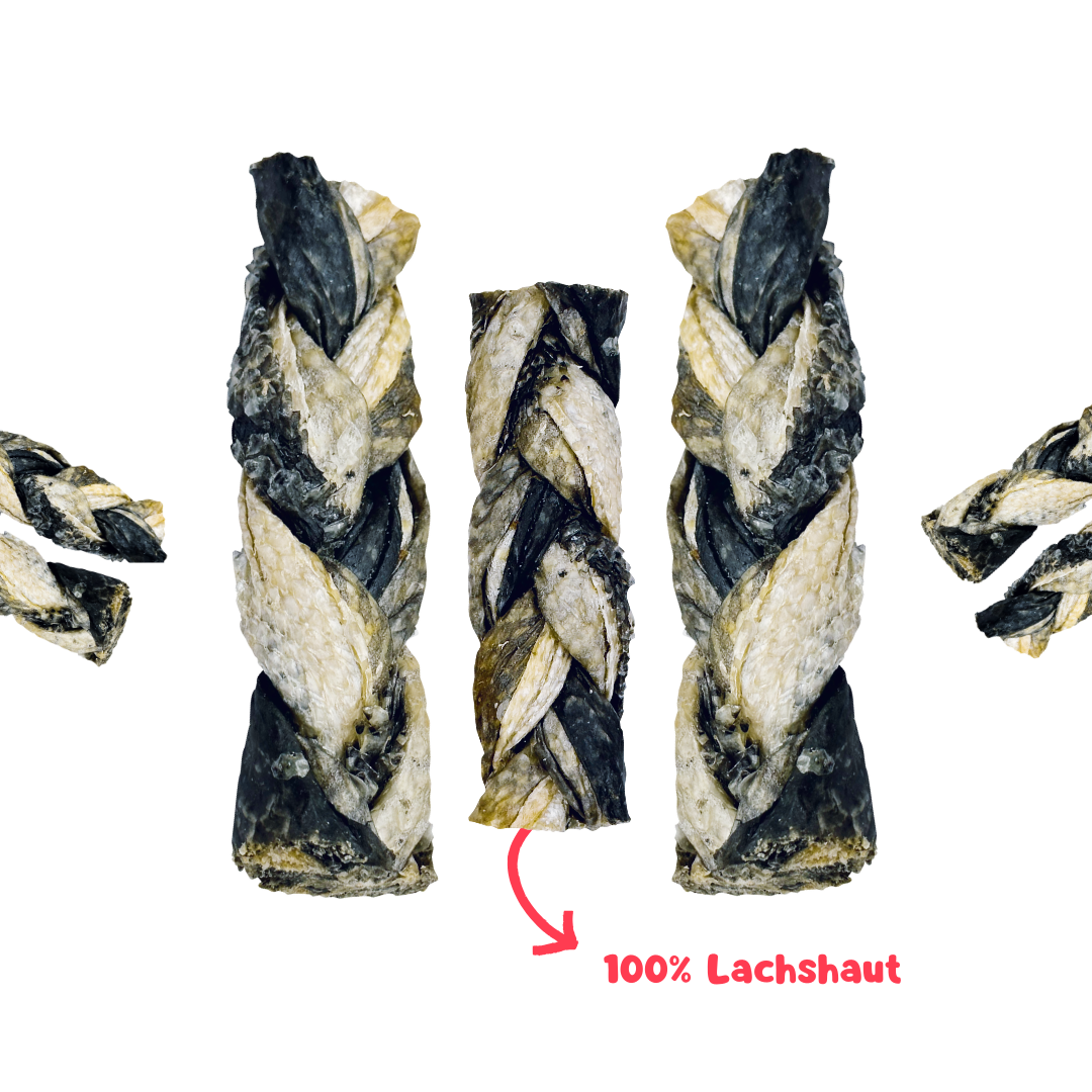 RiNa`s Lachs-Zöpfe für Hunde - Natürlicher Fischsnack 140g