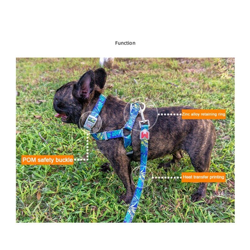 Cat Dog Collar Harness Leash Adjustable Nylon Pet Traction Cat Dog Collar Adjustable Quick Release Pet Harness Belt