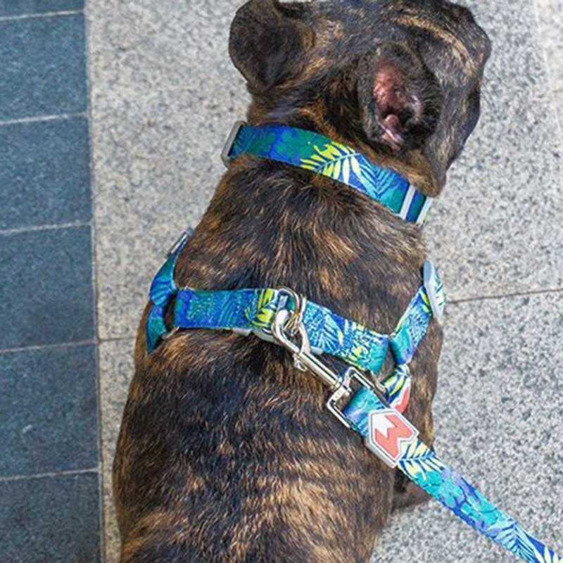 Cat Dog Collar Harness Leash Adjustable Nylon Pet Traction Cat Dog Collar Adjustable Quick Release Pet Harness Belt
