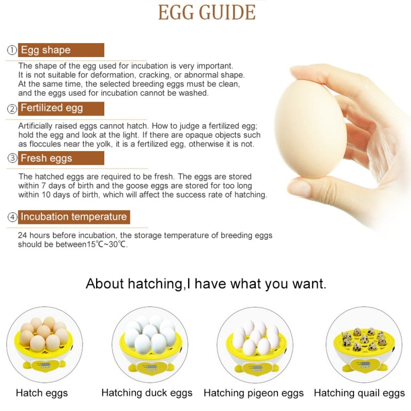 Semi-automatic Chicken Eggs Incubators Small Temperature Controlled Incubator Chick for Farm Home Incubator