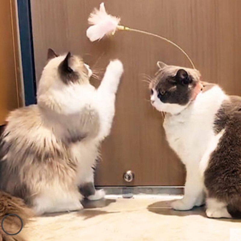 Funny Cat Collar Toy Feather Teaser Stick Interesting Automatic Cat Toy Foot Interactive Cats Teaser Feather Kitten Toys
