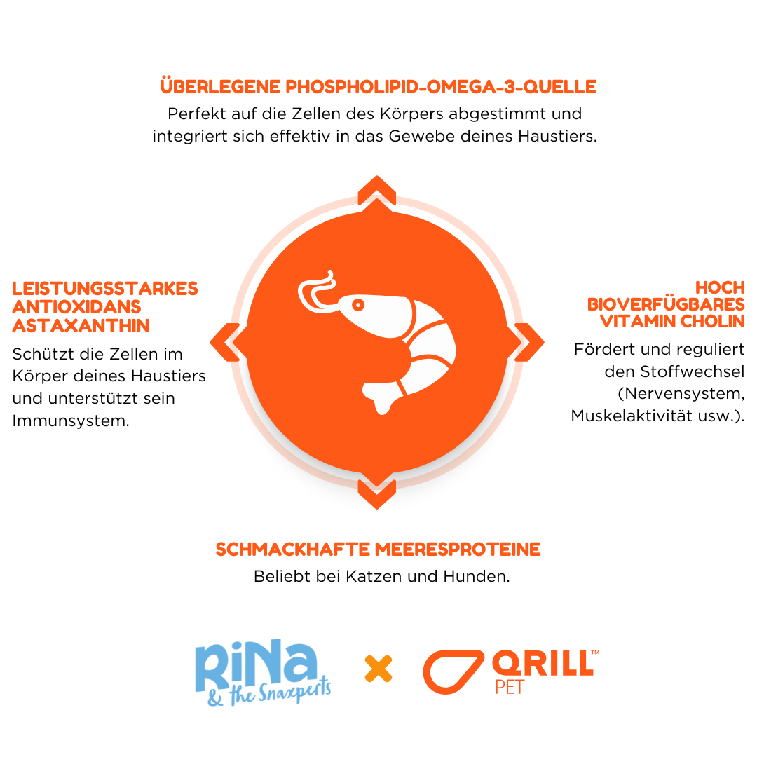 RiNa`s Magic Trio - Funktionale Hundesnacks - 3in1 Probierpaket 900g